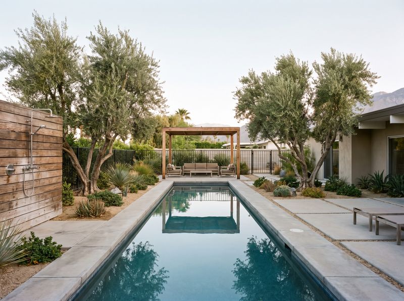 Modern Lap Pool with Timber Pergola