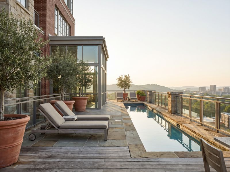 Rooftop Lap Pool with Olive Trees