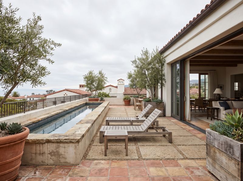 Rooftop Pool Flanked by Olive Trees