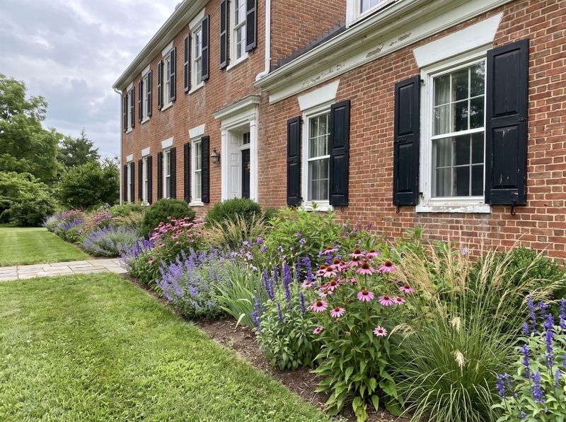 Perennial Border Along Red Brick Facade