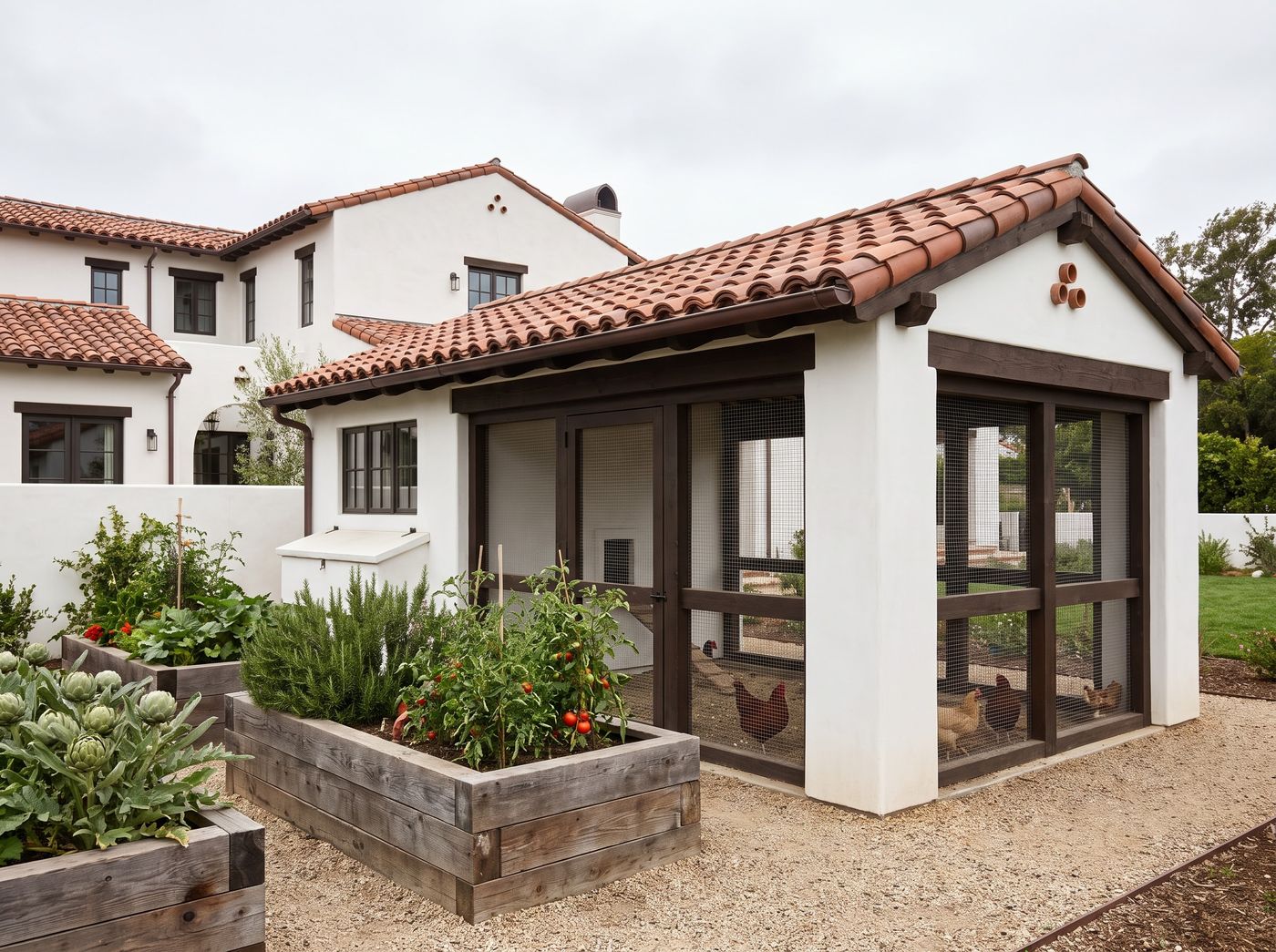 Terracotta Chicken Coop and Raised Beds