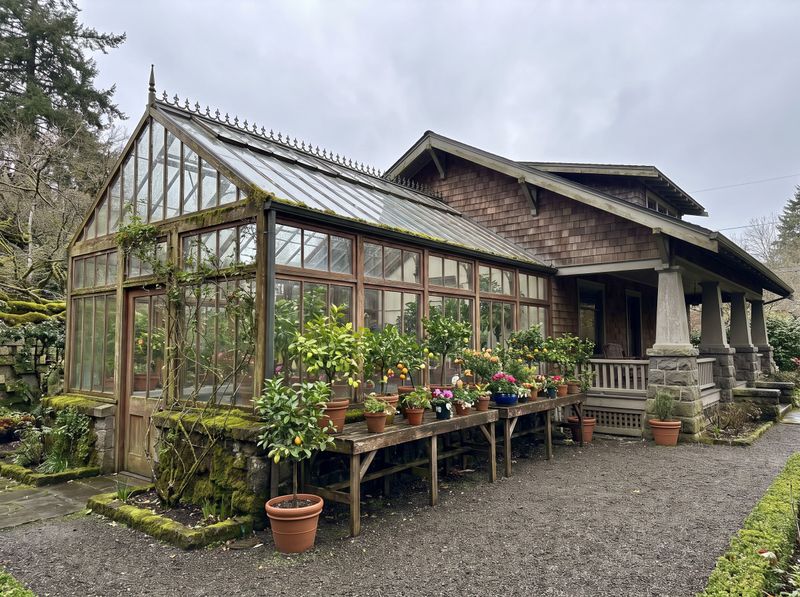 Timber Glasshouse with Exterior Citrus Benches