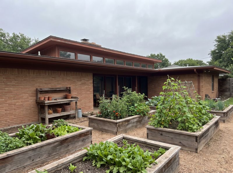 Vegetable Garden with Timber Raised Beds