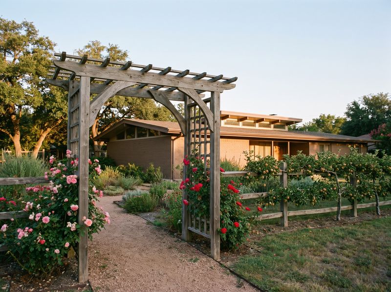 Weathered Timber Arbour with Climbing Roses