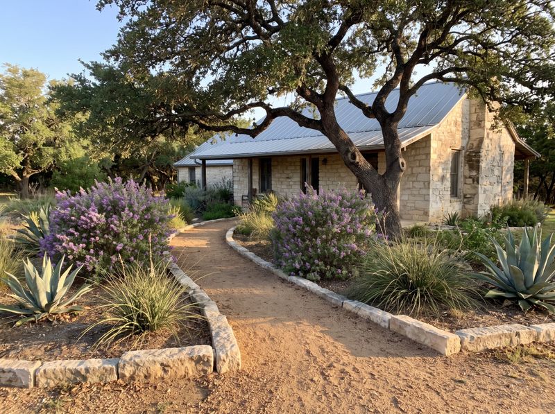 Drought-tolerant landscaping with native planting