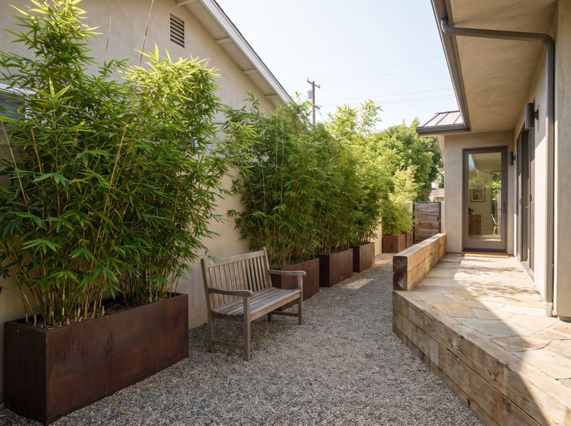 Bamboo Planters Framing Small Courtyard