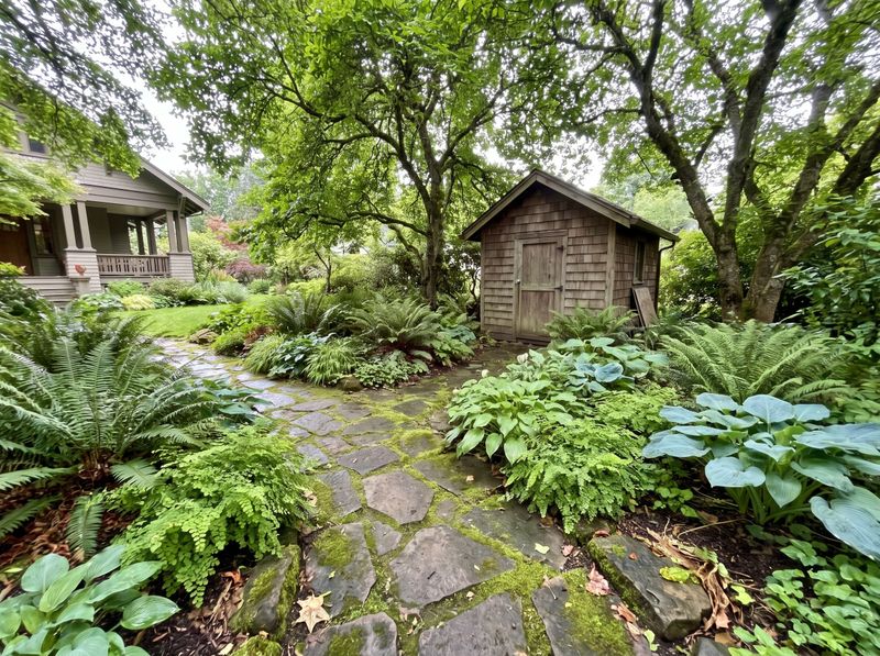 Flagstone Pathway to Weathered Garden Shed