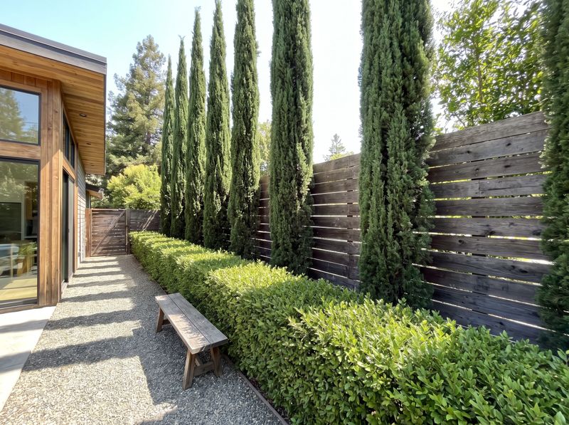 Gravel Walkway with Cypress Privacy Hedge