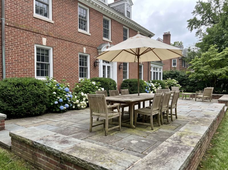 Bluestone Patio with Shaded Dining Table