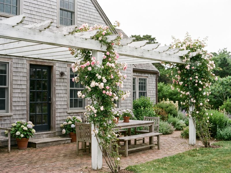 Attached White Pergola with Climbing Roses