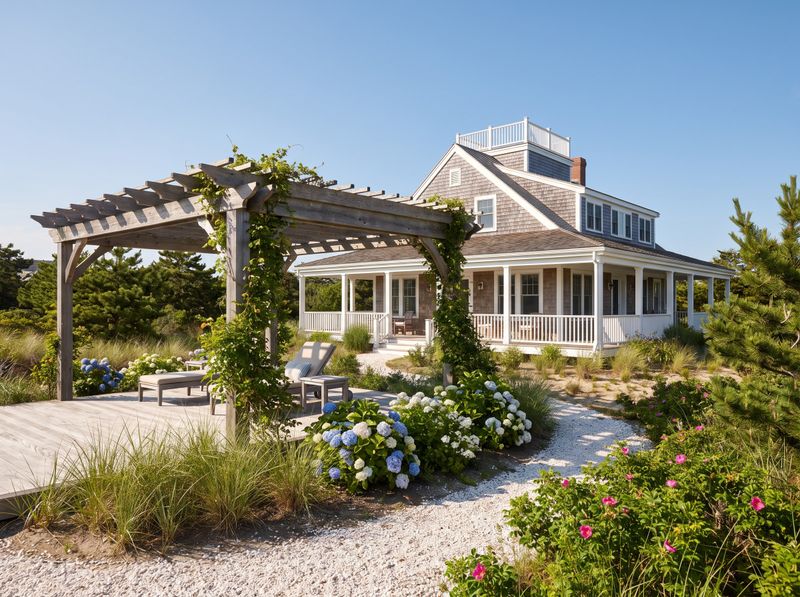 Freestanding Pergola on Sunlit Boardwalk
