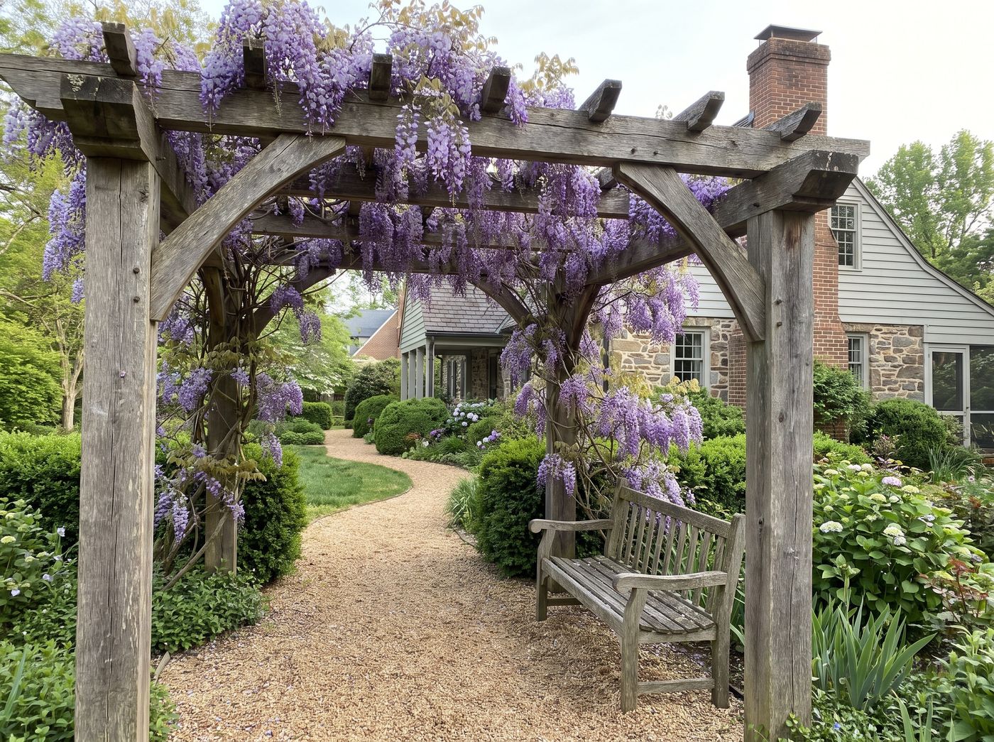 Weathered Timber Pergola Covered in Wisteria