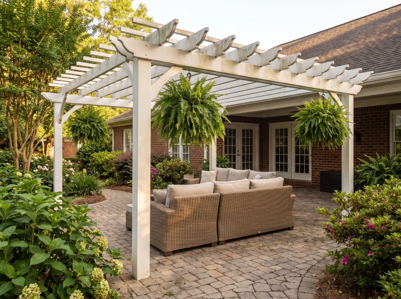 White Pergola with Hanging Ferns