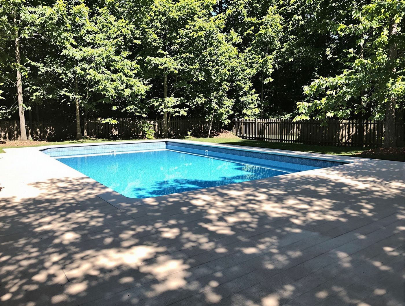 Rectangular Pool in Dappled Forest Shade