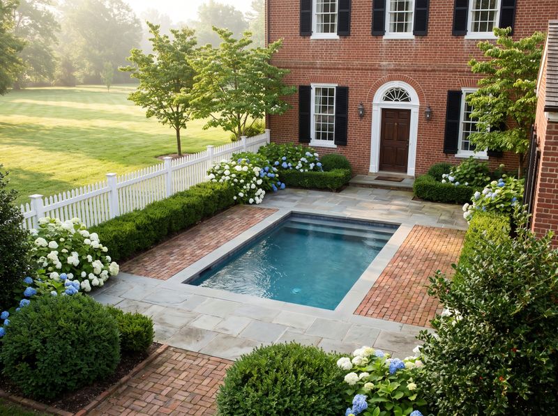 Brick Courtyard with Rectangular Plunge Pool