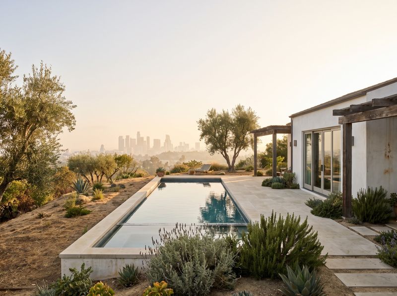 Hillside Infinity Pool Overlooking the City
